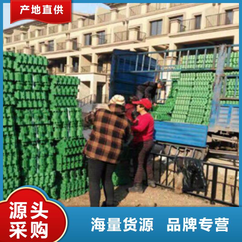 環(huán)保植草格蓄排水板廠家多種工藝