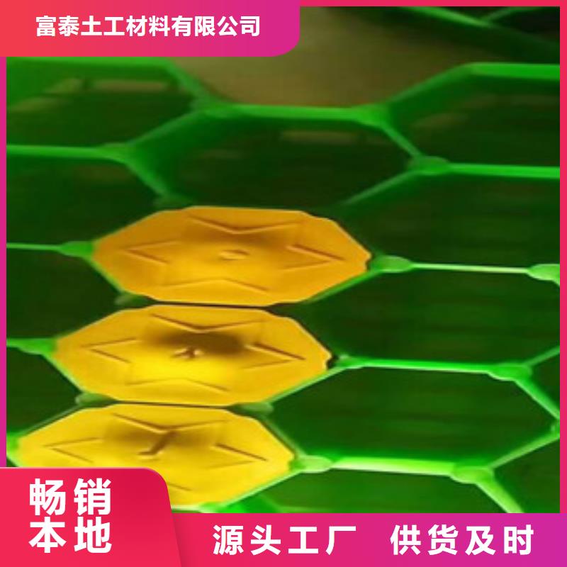 環(huán)保植草格植草格廠家現(xiàn)貨交易