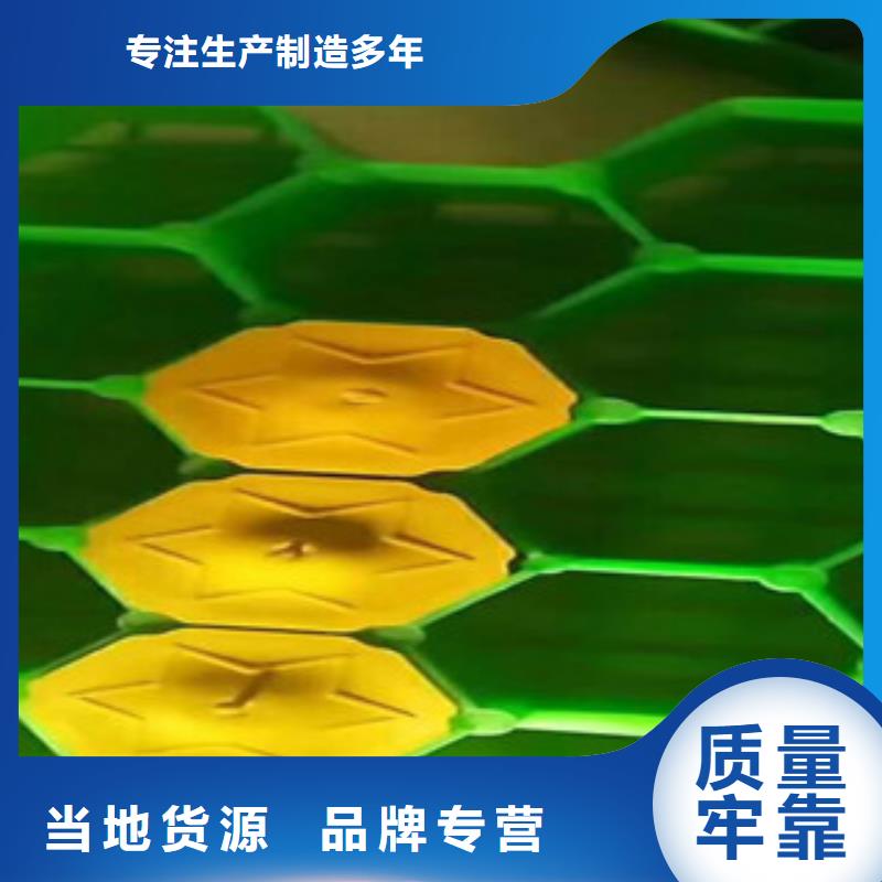 环保植草格土工布厂家大量现货