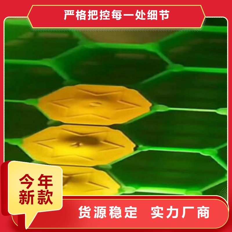 环保植草格蓄排水板厂家同行低价