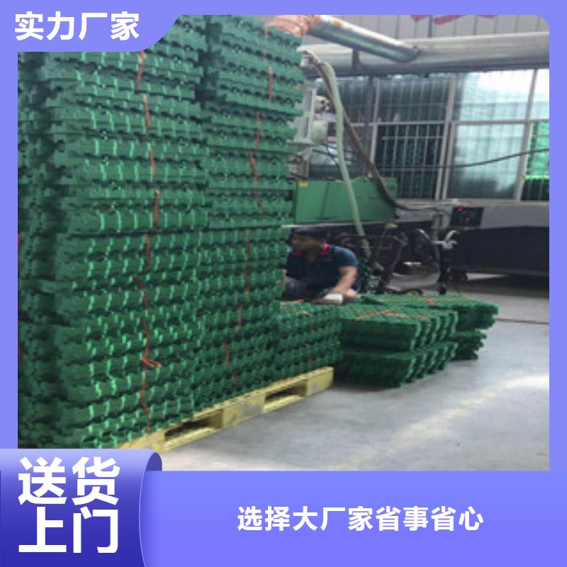 環(huán)保植草格-土工膜廠家量少也做