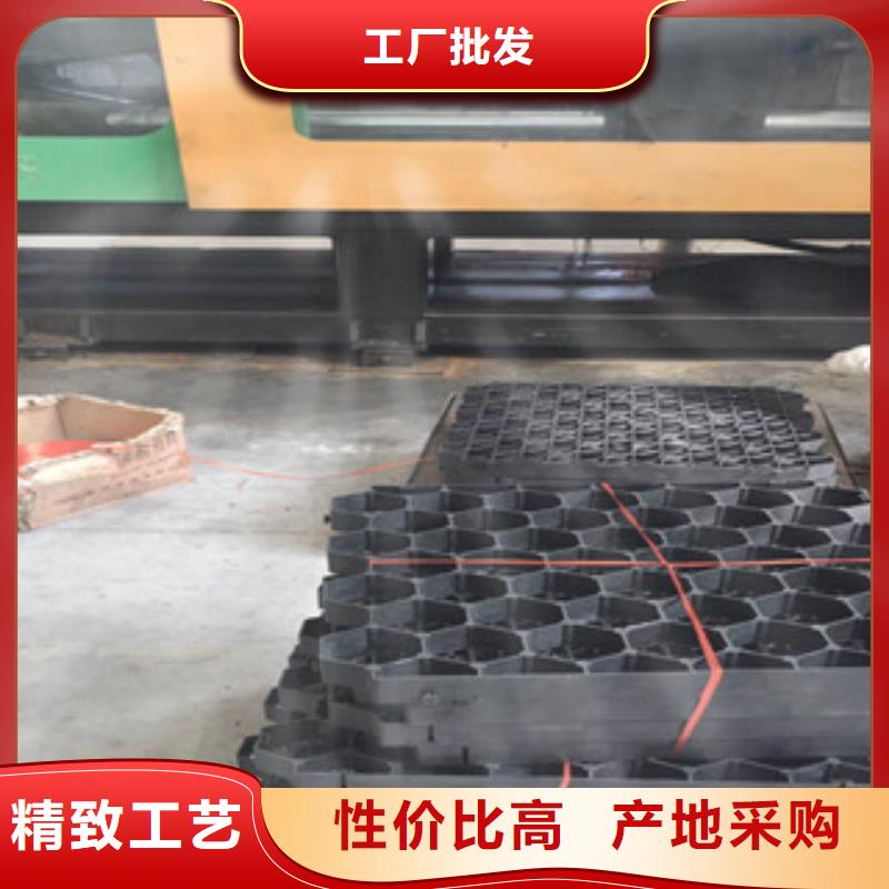 環(huán)保植草格土工膜廠家重信譽(yù)廠家