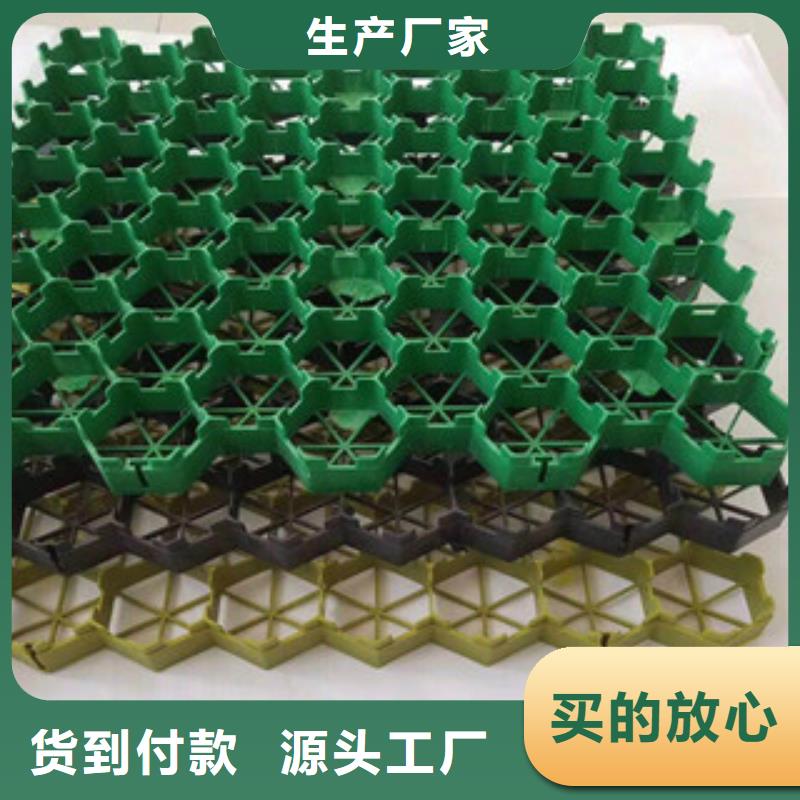 环保植草格土工布厂家大量现货