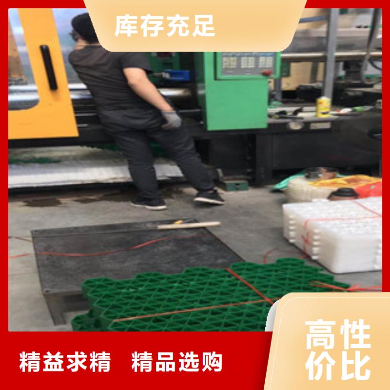 環(huán)保植草格植草格廠家現(xiàn)貨交易