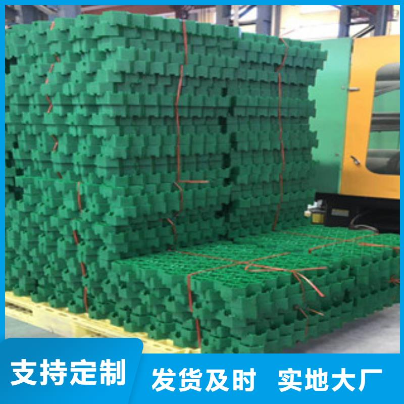 環(huán)保植草格土工布廠家市場行情