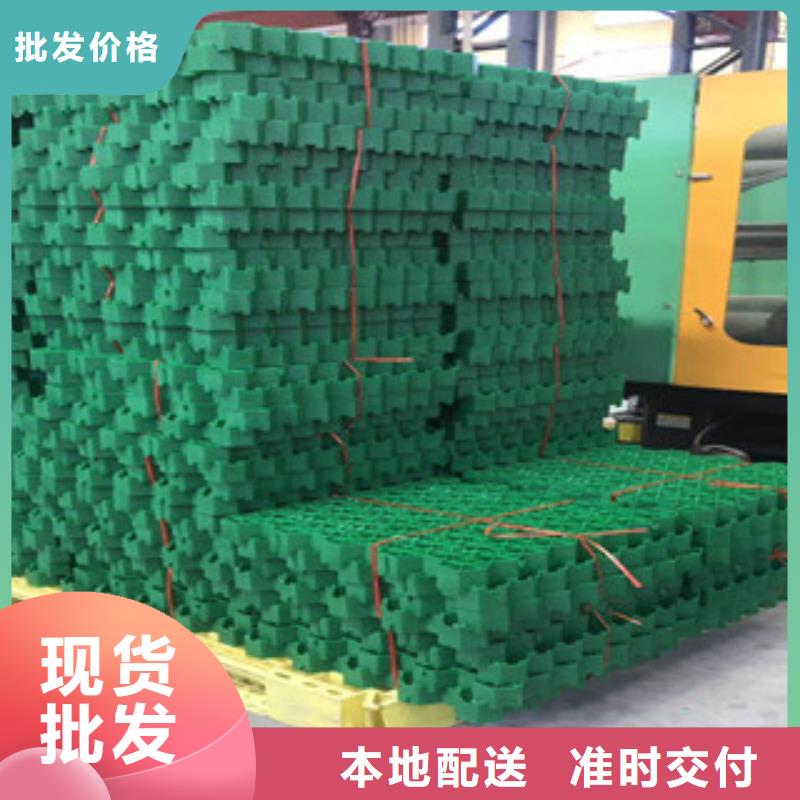 环保植草格虹吸排水板厂家产地批发