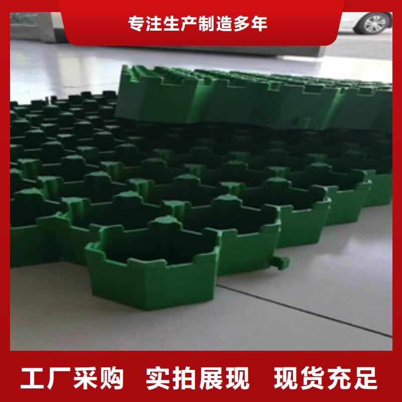 環(huán)保植草格蓄排水板廠家多種工藝