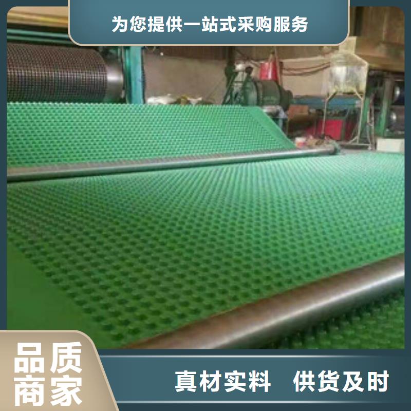 塑料排水板生態(tài)袋廠家生產(chǎn)型