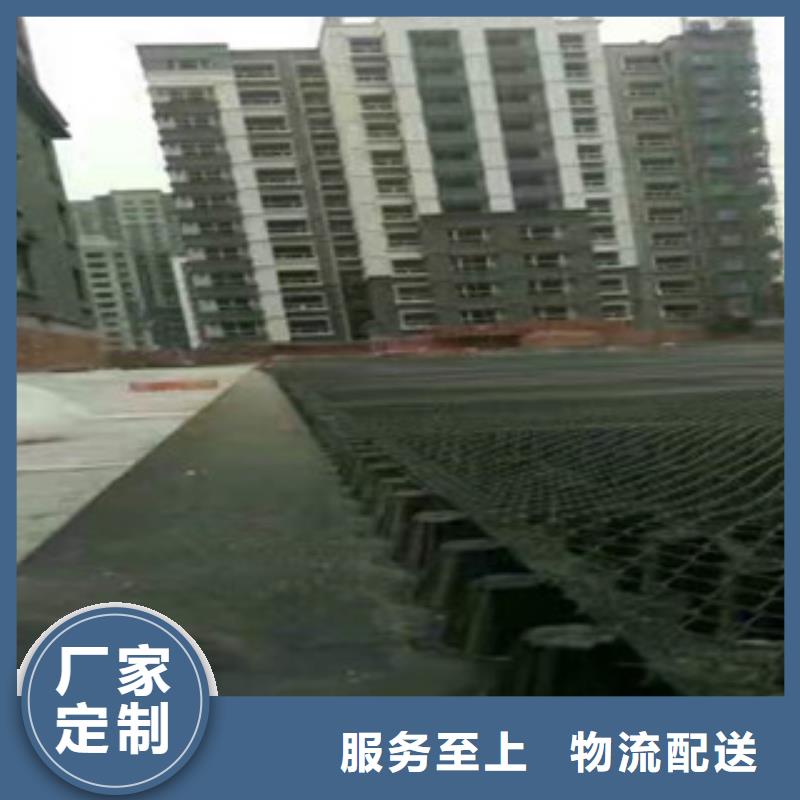 塑料排水板【植草格廠家】大量現(xiàn)貨供應(yīng)