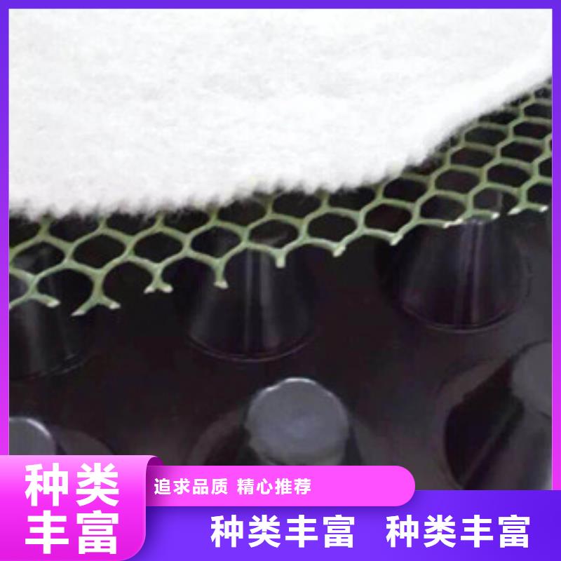 塑料排水板生態(tài)袋廠家生產(chǎn)型