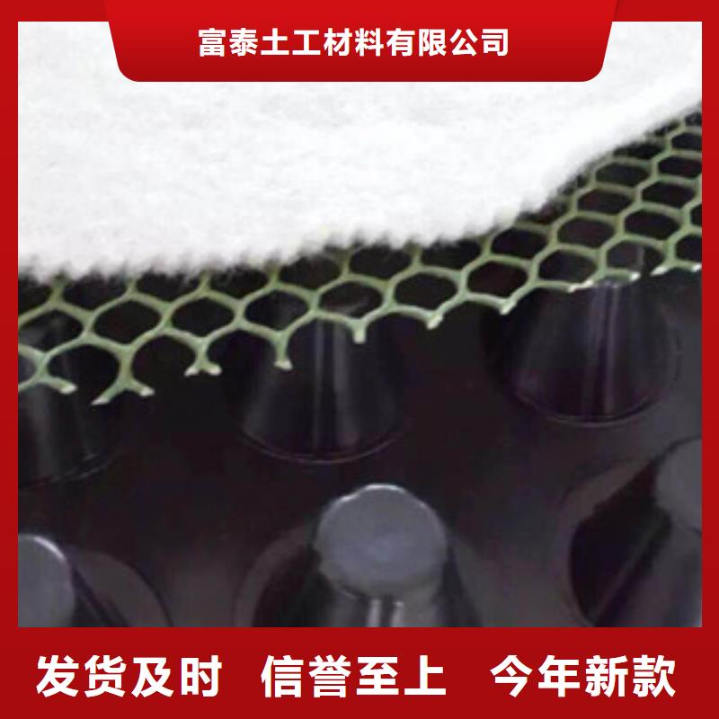 塑料排水板土工膜厂家出货快