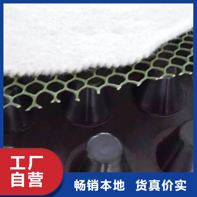 塑料排水板生态袋厂家生产型