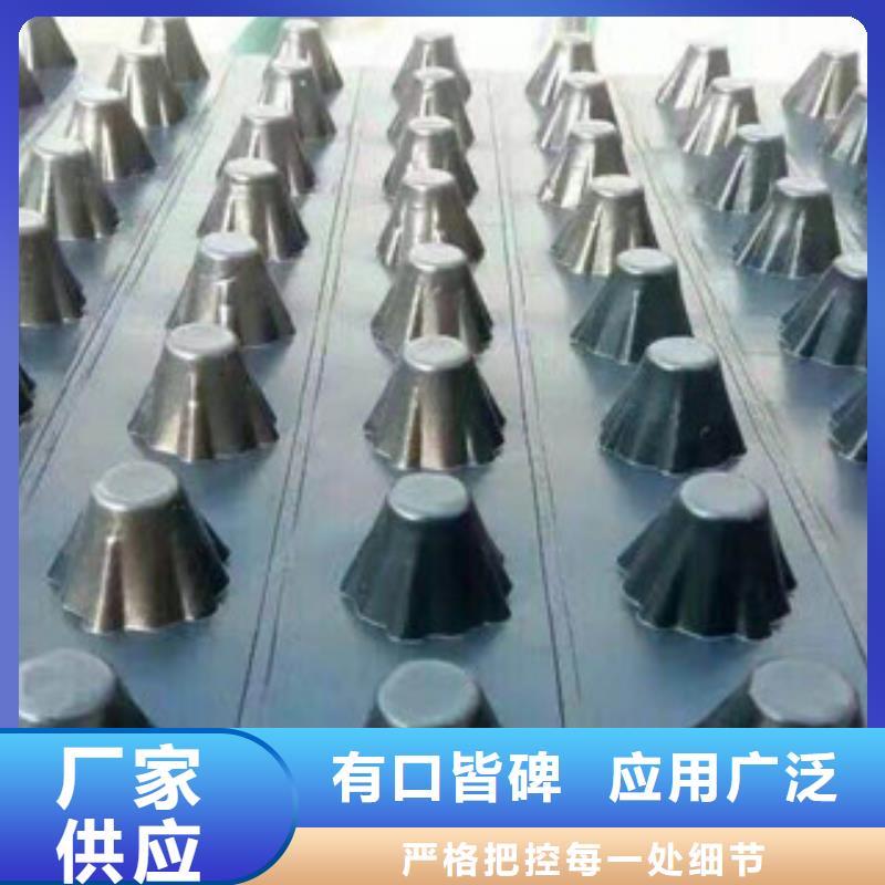 塑料排水板排水板厂家厂家规格全