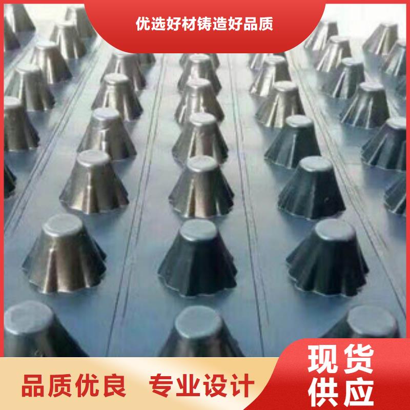 塑料排水板膨潤(rùn)土防水毯廠家大品牌值得信賴