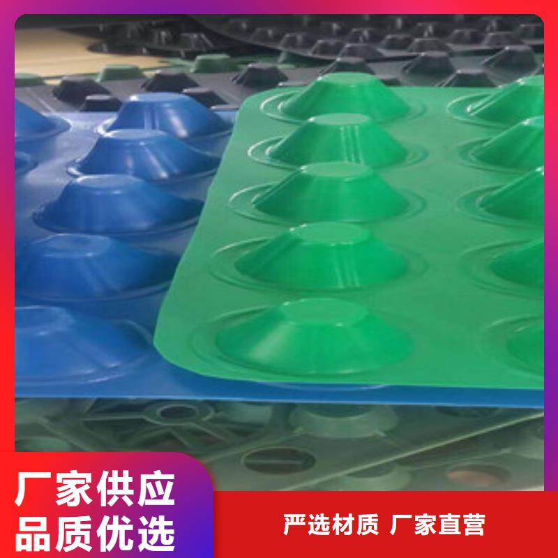 塑料排水板虹吸排水板廠家專業(yè)生產(chǎn)團(tuán)隊(duì)