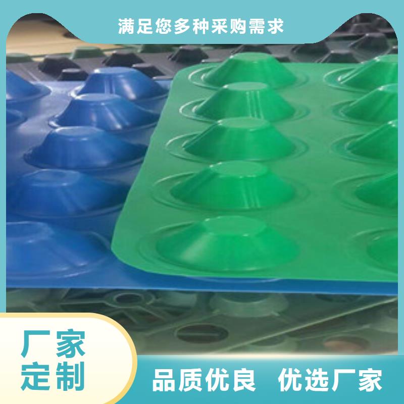 塑料排水板蓄排水板廠家每一處都是匠心制作