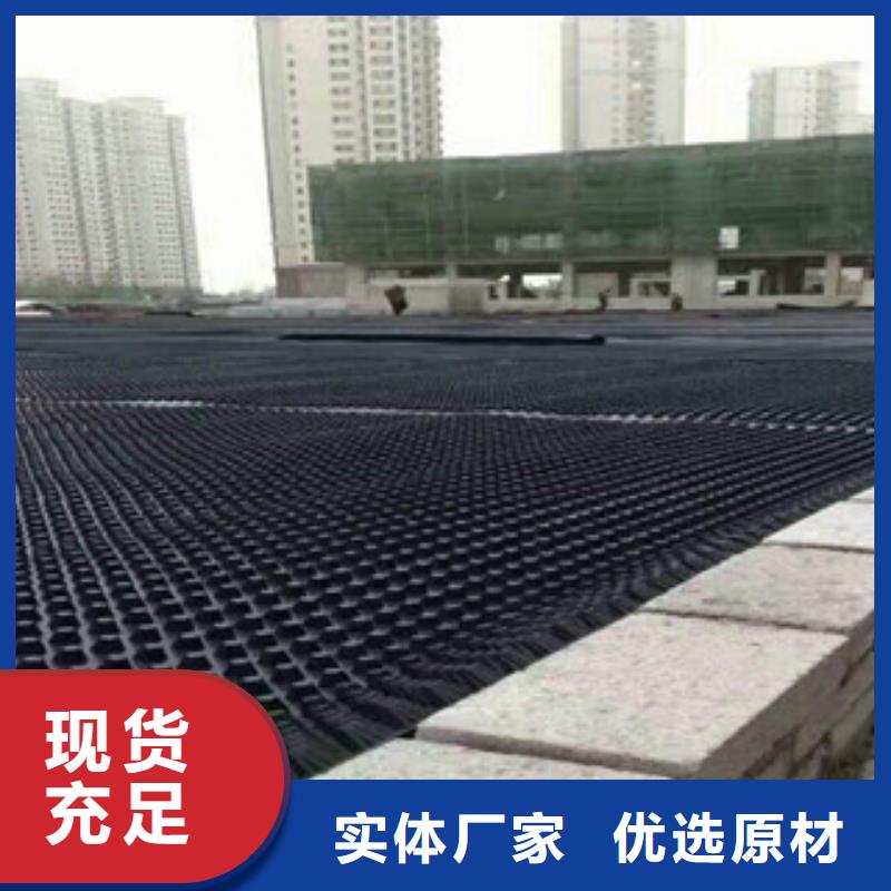 塑料排水板生態(tài)袋廠家生產(chǎn)型