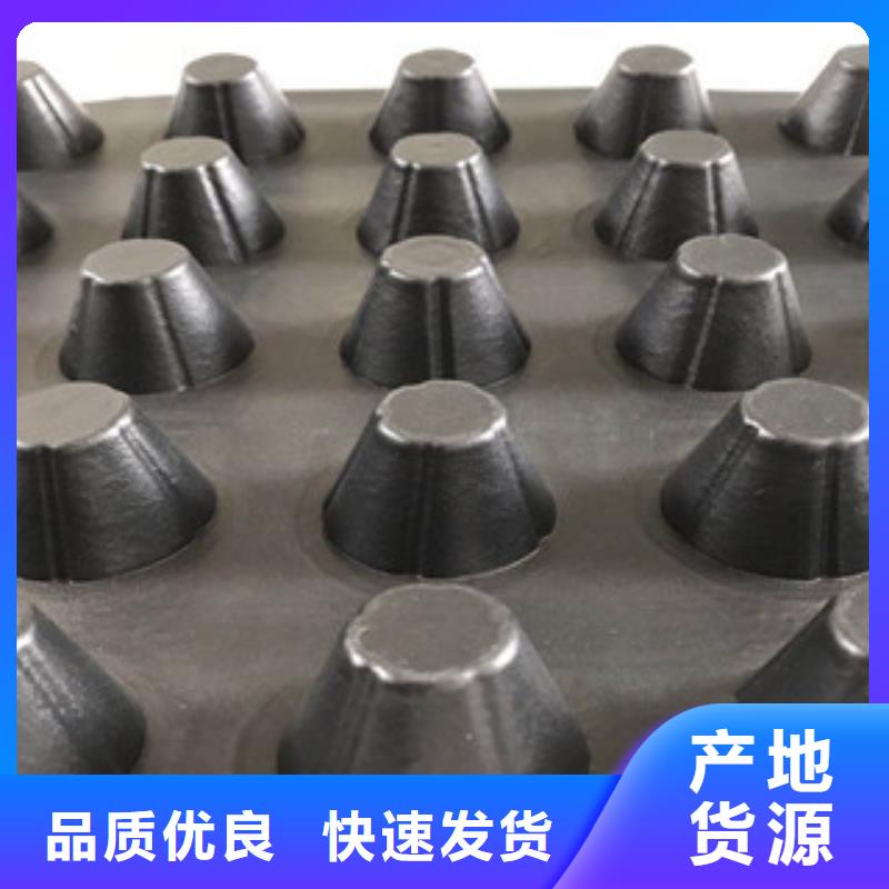 塑料排水板蓄排水板廠家每一處都是匠心制作