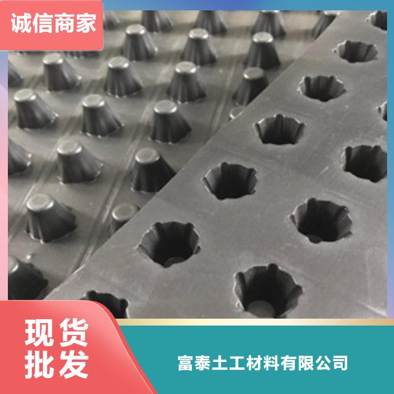塑料排水板_蓄排水板廠家廠家規(guī)格全