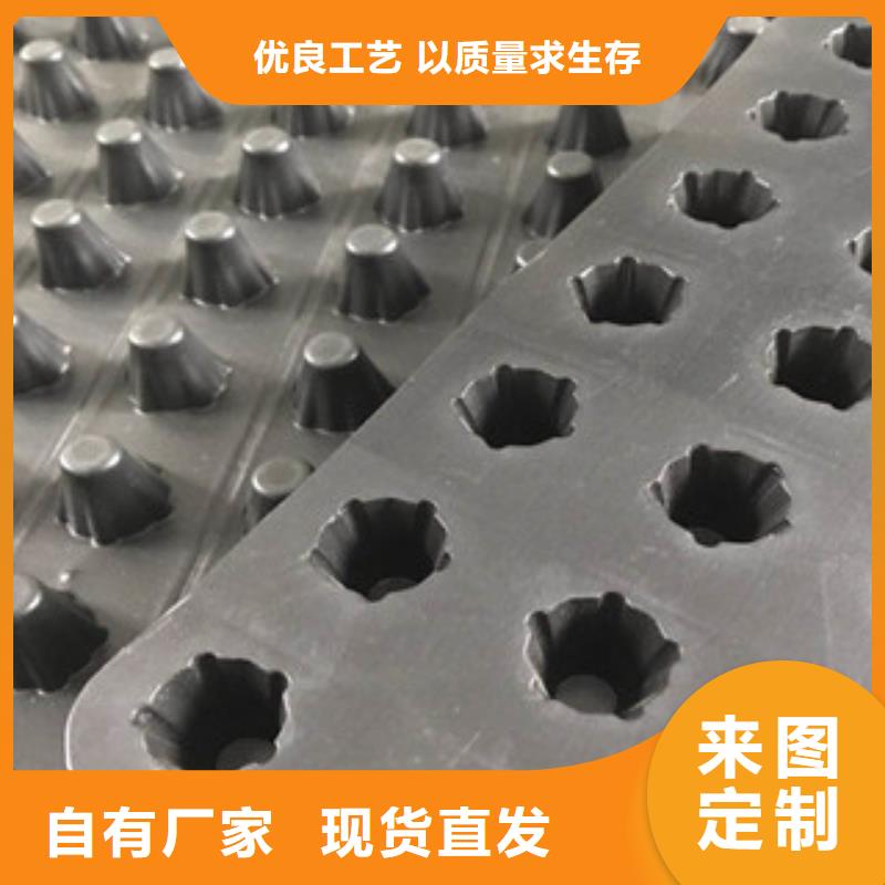 塑料排水板排水板廠家廠家直營