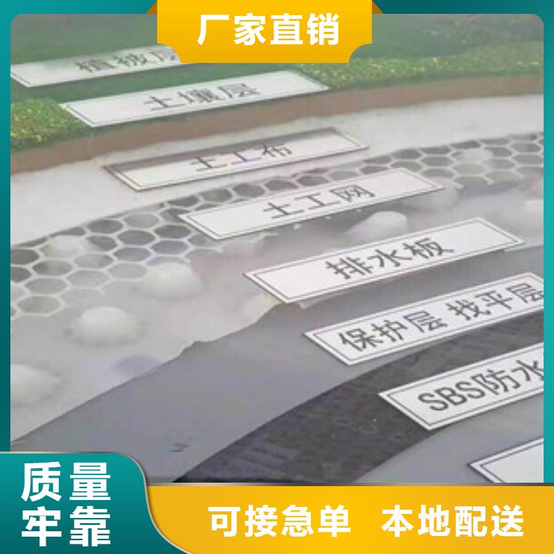 塑料排水板蓄排水板廠家品牌企業(yè)