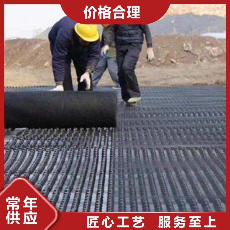 塑料排水板生態(tài)袋廠家生產(chǎn)型