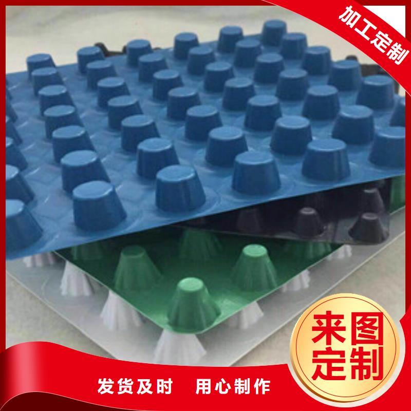 塑料排水板-植草格廠家好品質(zhì)選我們