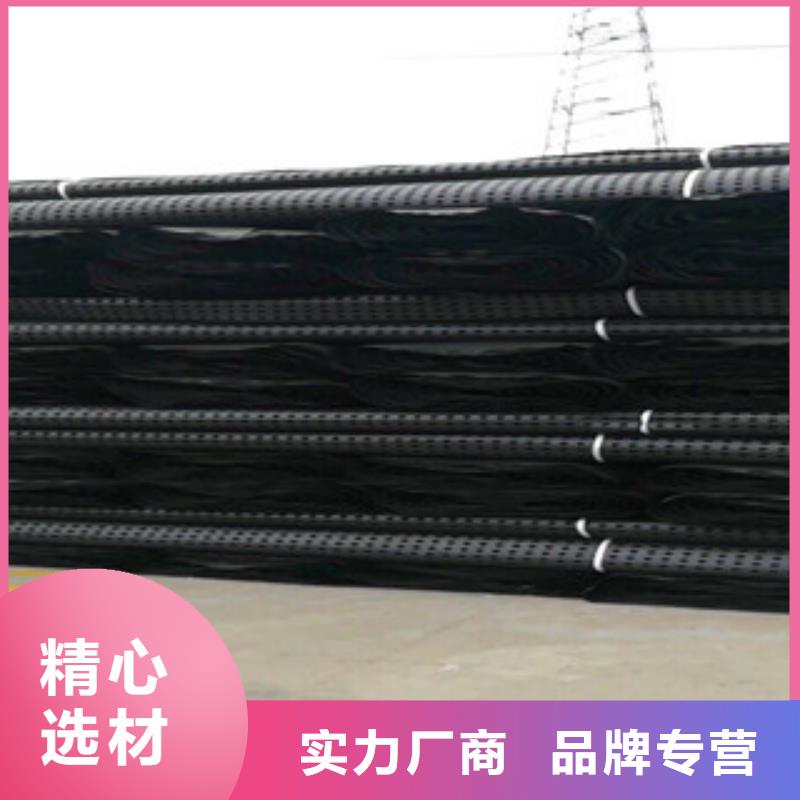 塑料排水板蓄排水板廠家每一處都是匠心制作