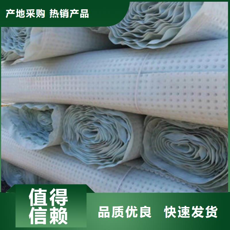 塑料排水板_蓄排水板廠家廠家規(guī)格全