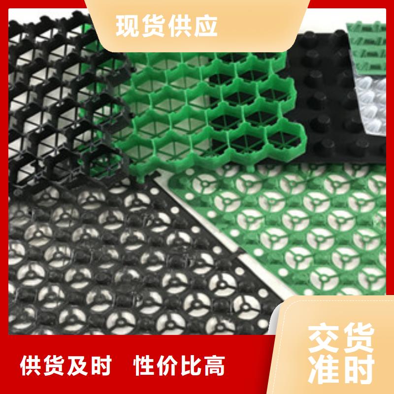 塑料排水板-植草格廠家好品質(zhì)選我們