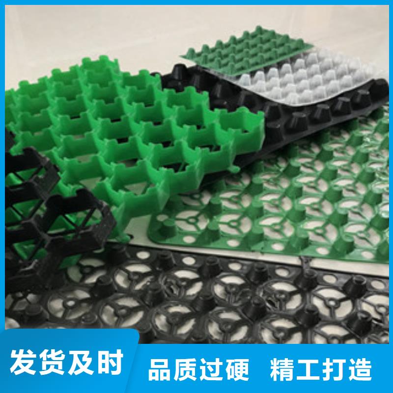 塑料排水板蓄排水板廠家品牌企業(yè)