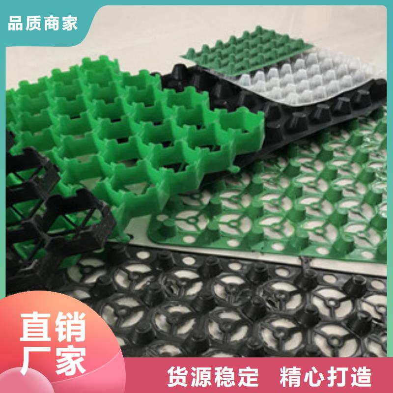 塑料排水板_蓄排水板廠家廠家規(guī)格全