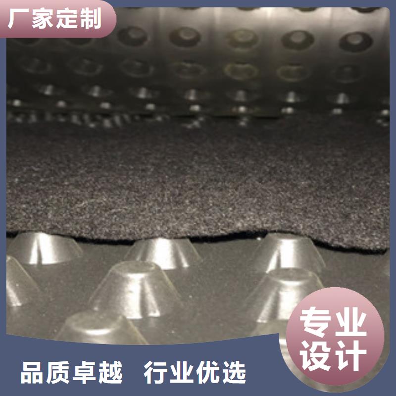 塑料排水板-排水板廠家支持非標(biāo)定制