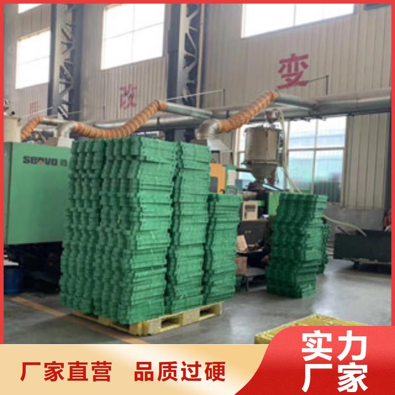植草格_蓄排水板厂家准时交付
