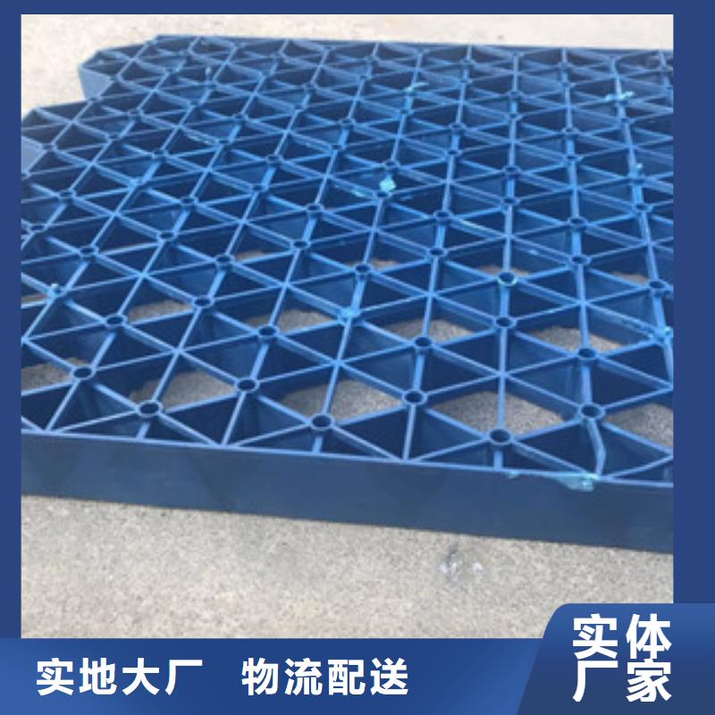 植草格排水板廠家嚴(yán)格把關(guān)質(zhì)量放心