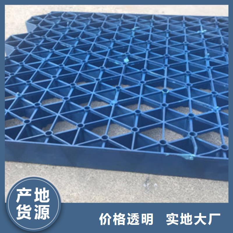 植草格土工布厂家货品齐全