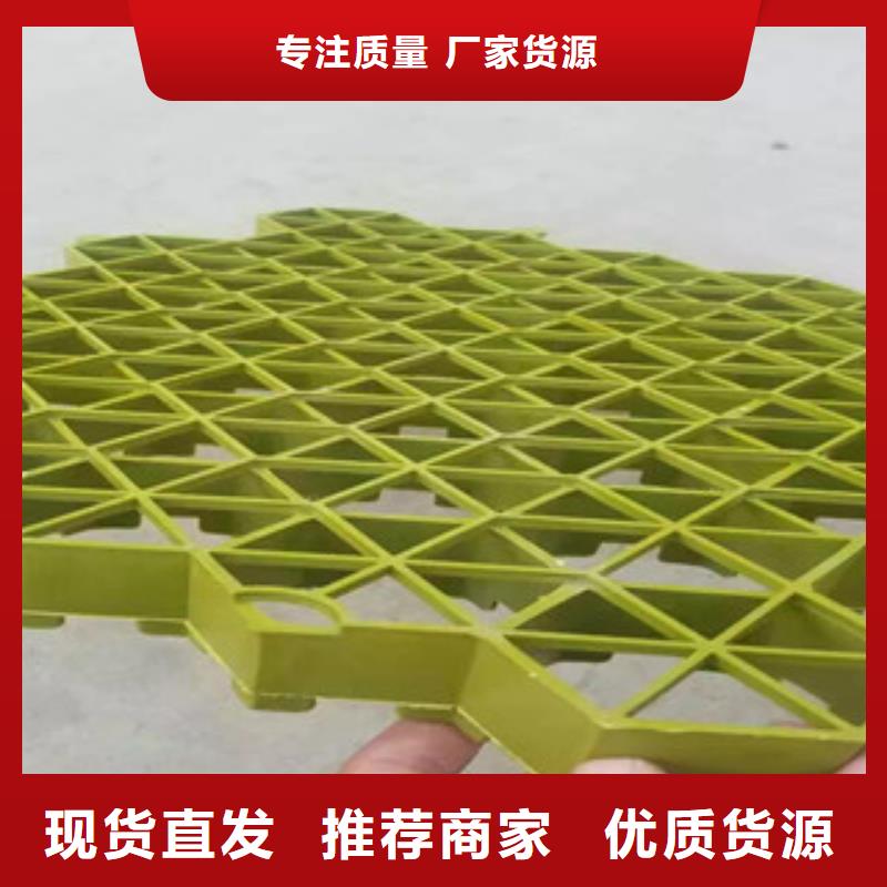 植草格虹吸排水板廠家源頭廠商