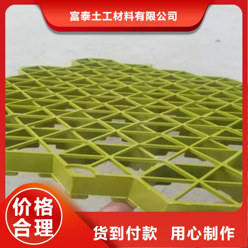 植草格膨润土防水毯厂家敢与同行比质量