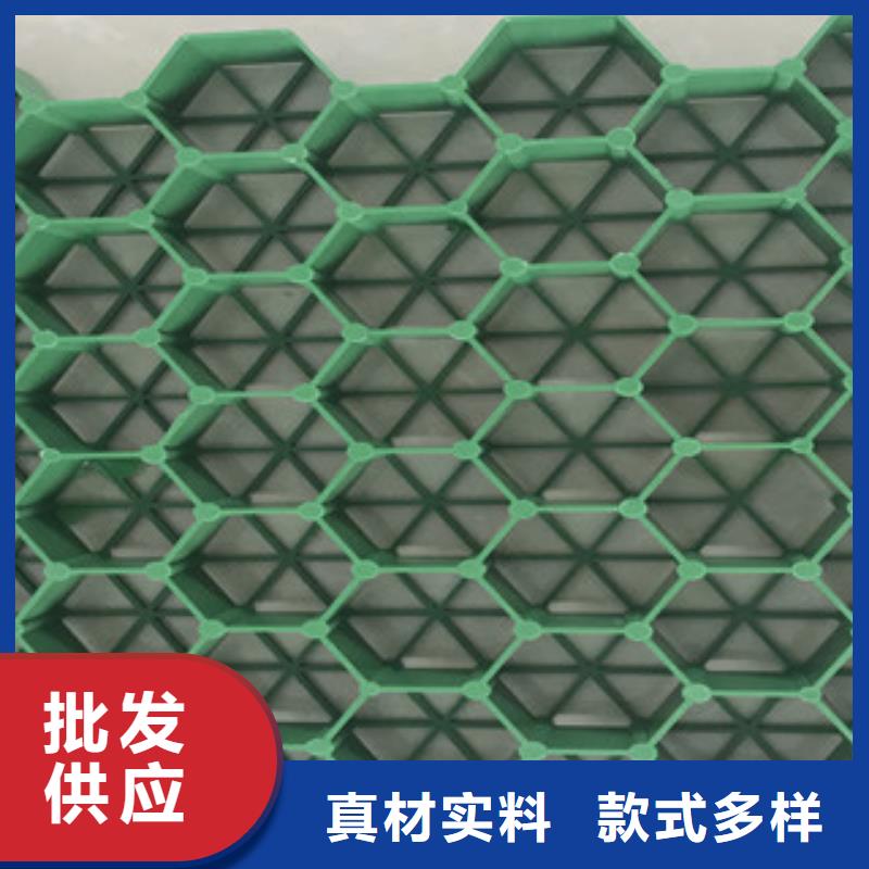 植草格土工布廠(chǎng)家發(fā)貨及時(shí)