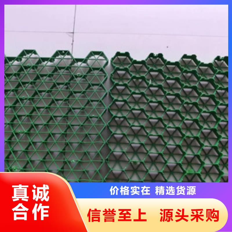 植草格排水板廠家嚴格把關(guān)質(zhì)量放心