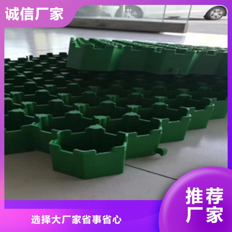 植草格排水板廠家一站式采購方便省心