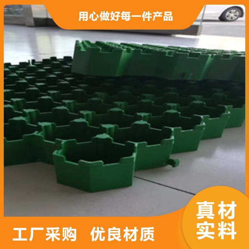 植草格排水板厂家品质不将就