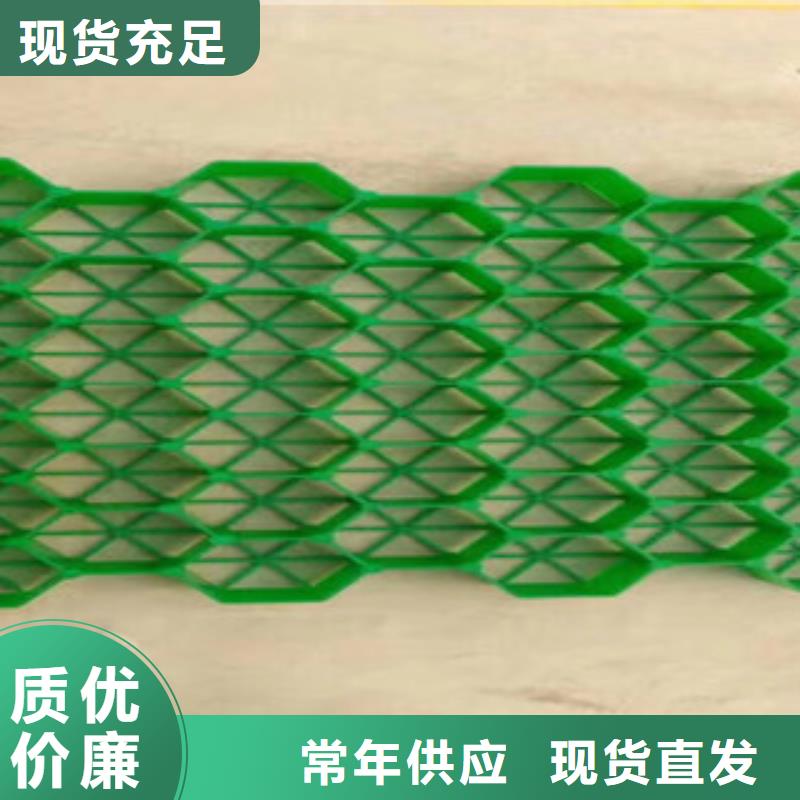 植草格排水板廠家一站式采購(gòu)方便省心