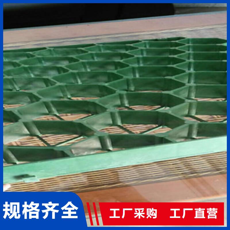 植草格排水板厂家用的放心