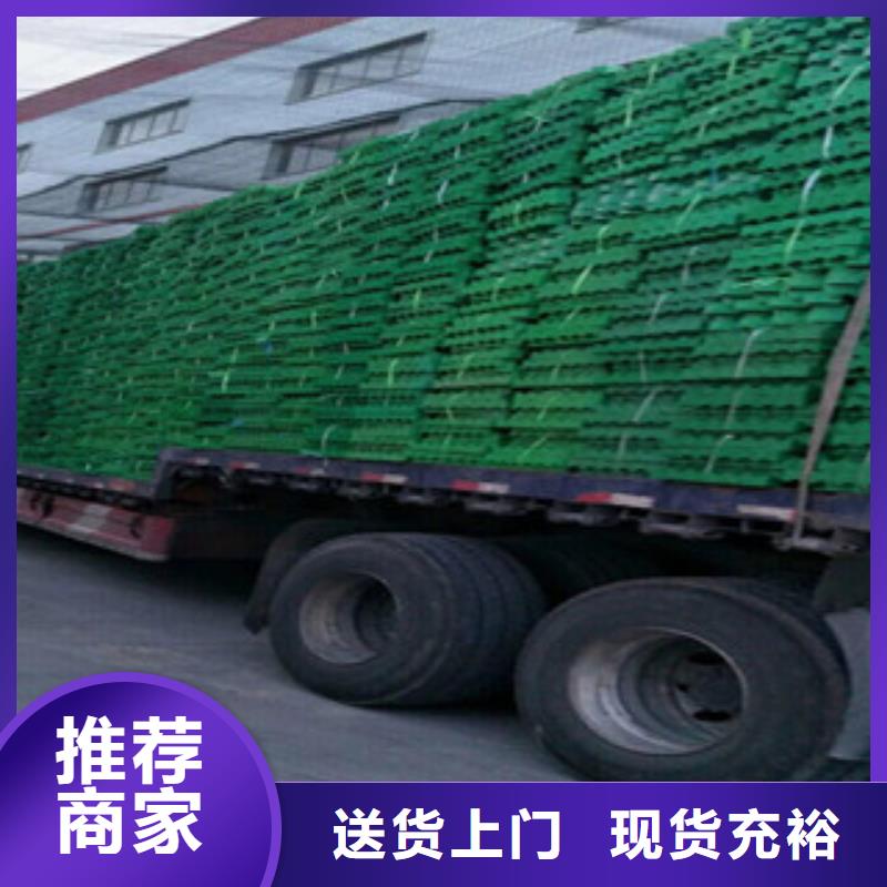 植草格土工膜厂家一站式采购商家