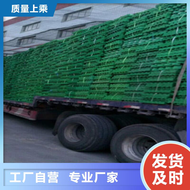 植草格排水板廠家一站式采購方便省心