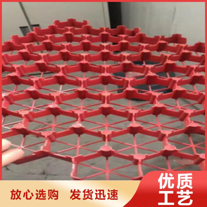 植草格土工膜厂家一站式采购商家