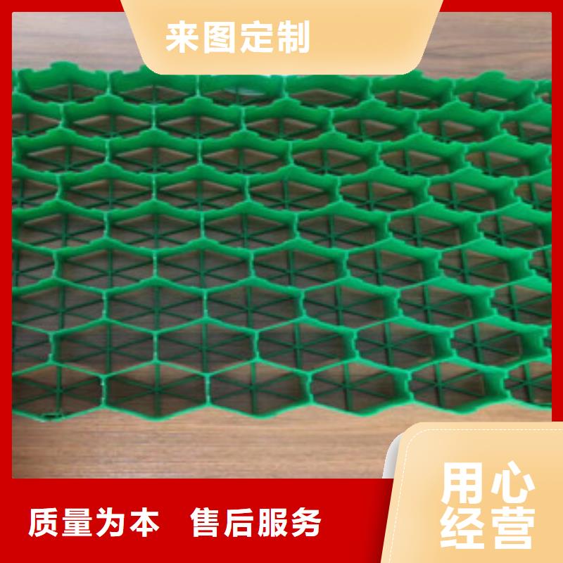 植草格-蓄排水板廠家精品優(yōu)選