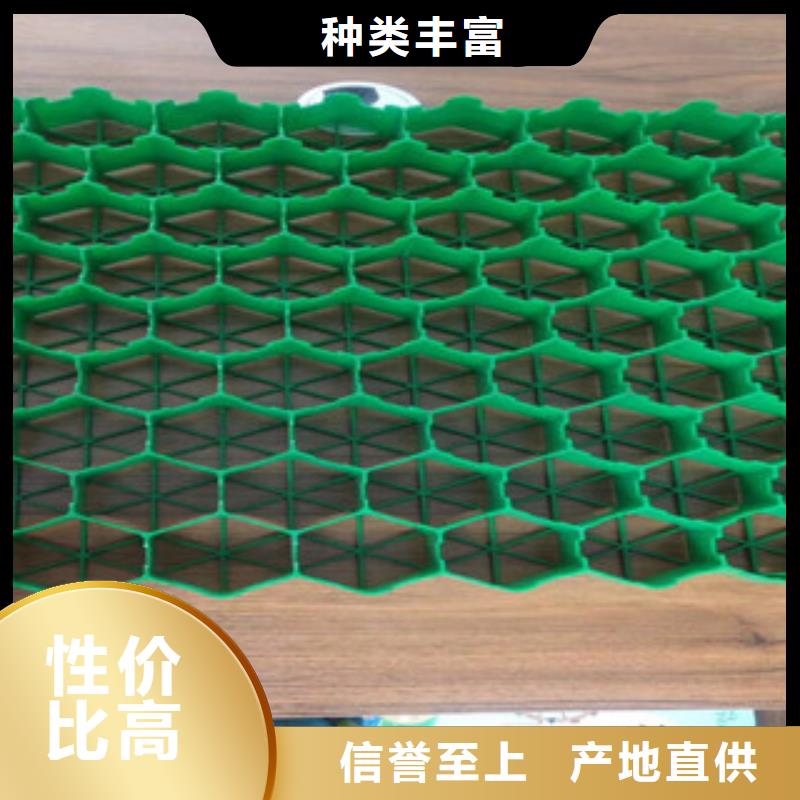 植草格膨潤土防水毯廠家敢與同行比質(zhì)量
