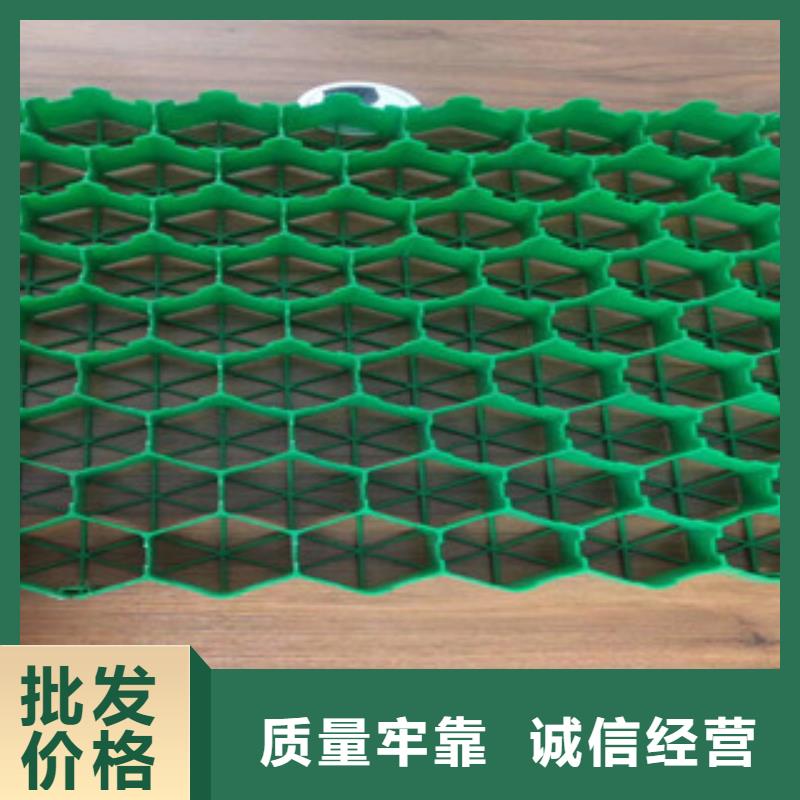 植草格土工布厂家货品齐全
